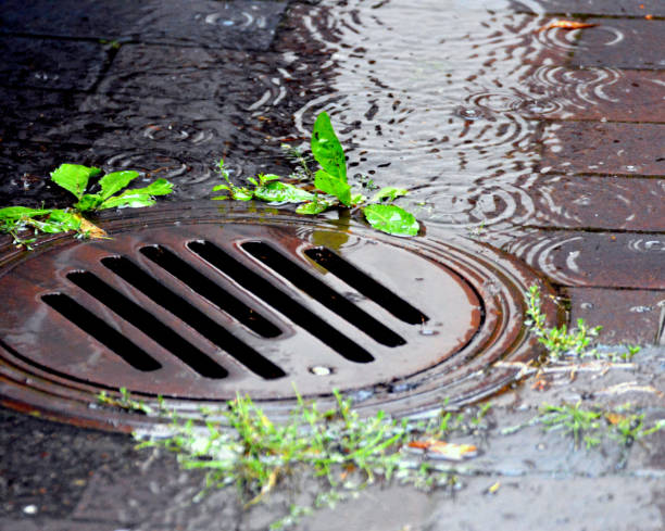 Coral Springs Plumbers