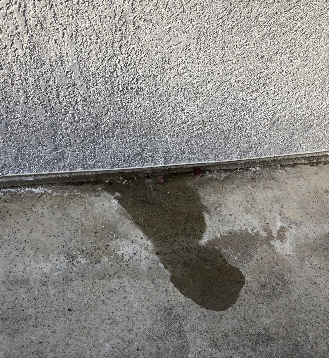 Coral Springs Plumbers