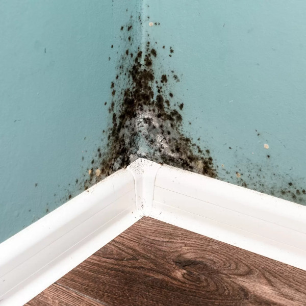 Coral Springs Plumbers